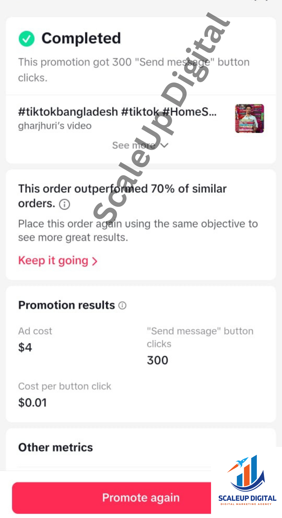 TikTok Promotion 9